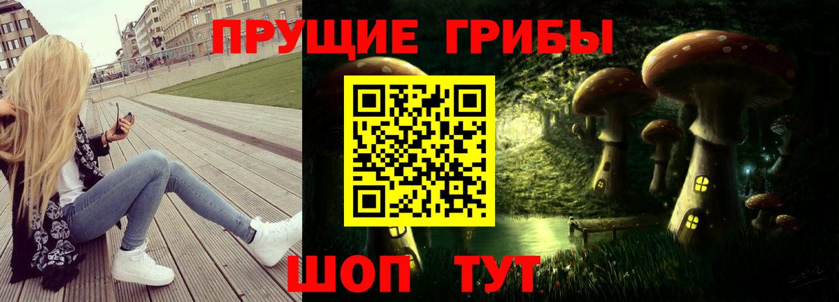 Псилоцибиновые грибы MAGIC MUSHROOMS Кохма